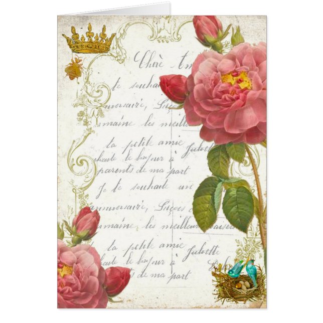 Roses de jardin de Versailles Marie Antoinette (Devant)