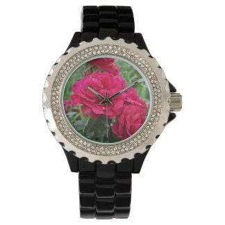 Roses de la montre Crickhollow