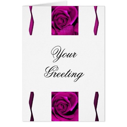 Roses de rose de pourpre élégants (Devant)