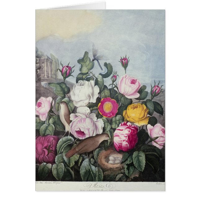 Roses, 'du temple de Flora (Devant)