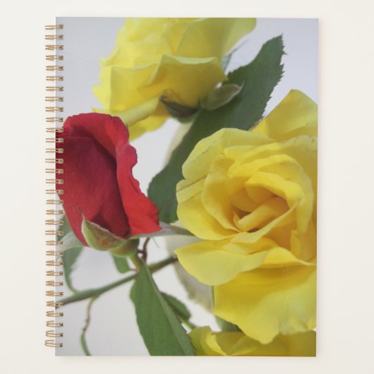 Roses et LIly Planner (Devant)