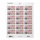 Roses étiquettes de adresse (Feuille entière)