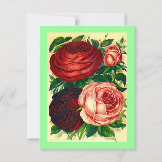 ROSES HEIRLOOM ~ JOLIS INVITATIONS DE DÎNER DE RÉH (Devant)