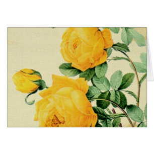 Roses jaunes