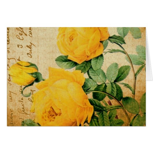 Roses jaunes vintages (Devant horizontal)