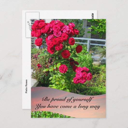 Roses Patio avec carte postale (Devant / Derrière)