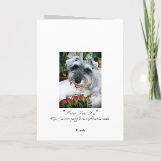 Roses pour vous - Merci (Dos)