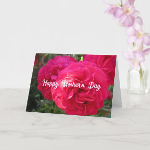 Roses Rose Chaud - Carte de Fête des Mères Personn
