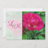 Roses rose et jaune Faire-part de mariage (Devant)