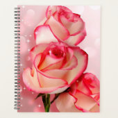 Roses roses (Devant)