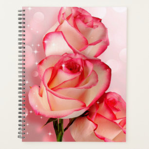 Roses roses