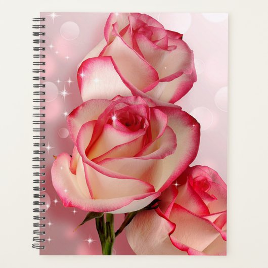 Roses roses (Devant)