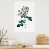 Roses roses roses par Redoute impression qualité p (Cuisine)