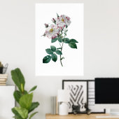 Roses roses roses par Redoute impression qualité p (Bureau à domicile)