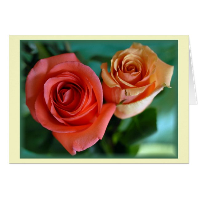 "Roses roses" (Vide) (Devant horizontal)