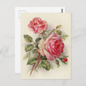 Roses roses vintages mignonnes carte postale (Devant / Derrière)