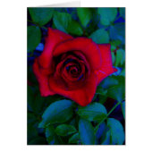 Roses rouges aux tons bleus (Devant)