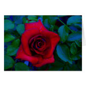 Roses rouges aux tons bleus (Devant horizontal)