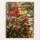 Roses rouges contre un mur de pierre (Devant)