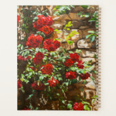 Roses rouges contre un mur de pierre (Dos)
