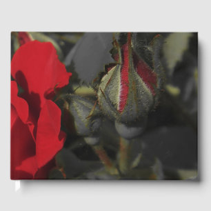roses rouges en livre d'or Mariage noir, festif