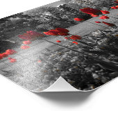 roses rouges en noir et blanc photo de jardin (Coin)