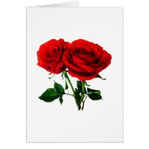 Roses rouges jumeaux