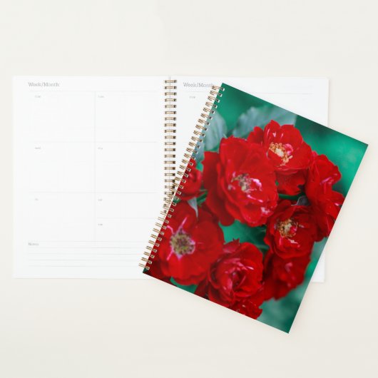 Roses rouges Pale Green Feuilles (Devant avec enveloppe)