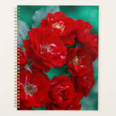 Roses rouges Pale Green Feuilles (Devant)