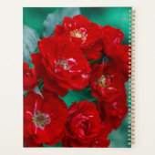 Roses rouges Pale Green Feuilles (Dos)