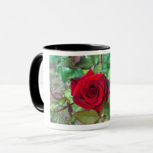 Roses rouges Valentines Jour Mug