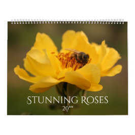 Roses Stunning Fotografie 2020 Kalender