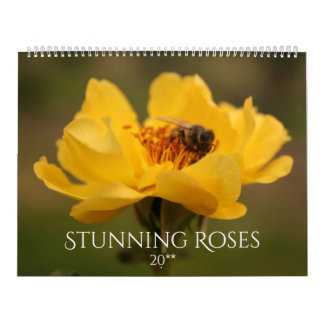 Roses Stunning Fotografie 2020 Kalender