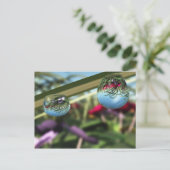Roses sur carte postale Raindrops (Debout devant)