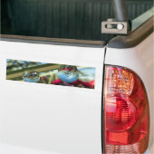 Roses sur Raindrops Bumper Sticker (Sur camion)