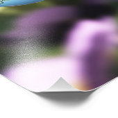 Roses sur Raindrops Photo Print (Coin)