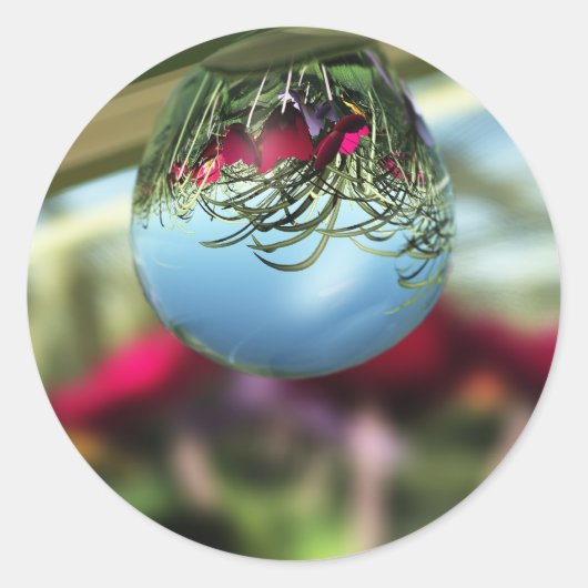 Roses sur Stickers Raindrops (Devant)