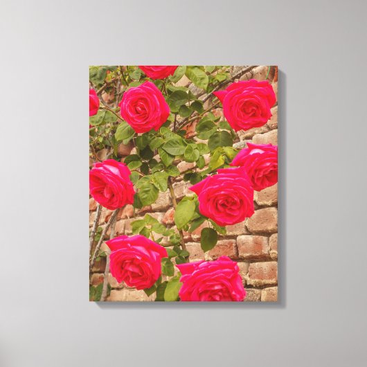 roses sur toile étirée (Recto)