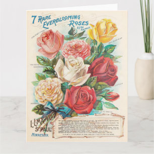 Roses Vintage Colorés Beaux Éphémères Carte de Vœu