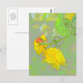 Roses, vos belles roses ici ! Carte postale (Devant / Derrière)