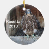 Rosetta Ornament 2013 (Achterkant)