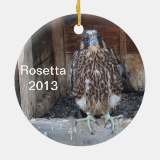 Rosetta Ornament 2013 (Achterkant)