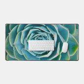 Rosette d'Echeveria, Jardin Secret de Marrakech (Clavier et souris)