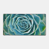 Rosette d'Echeveria, Jardin Secret de Marrakech (Recto)