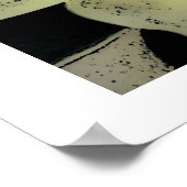 Rosette du désert, affiche (Coin)