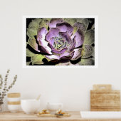 Rosette du désert, affiche (Cuisine)