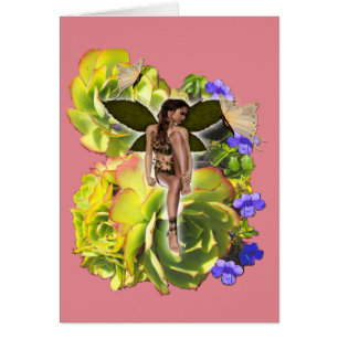Rosette Succulent Visiteurs