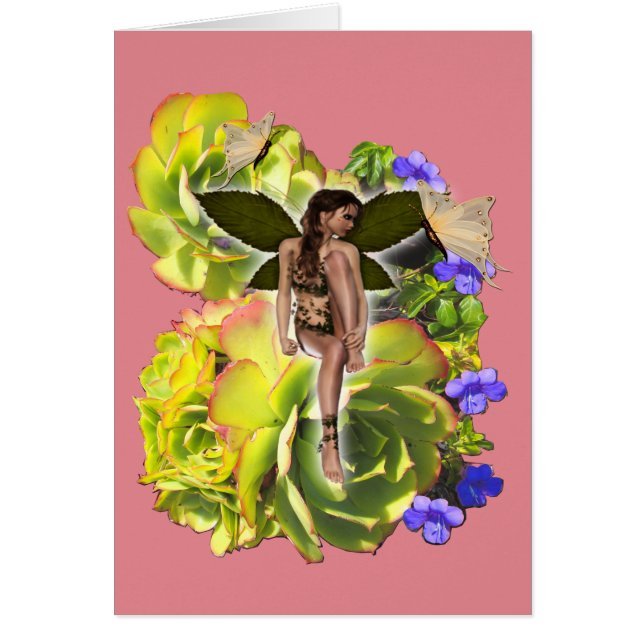 Rosette Succulent Visitors (Voorkant)