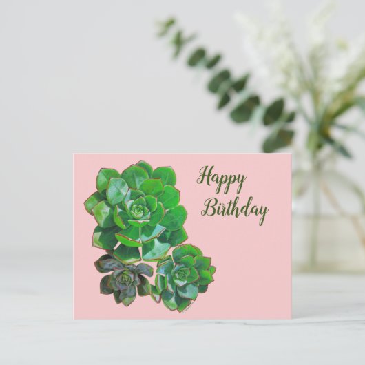 Rosette Succulente Carte postale (Debout devant)