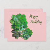 Rosette Succulente Carte postale (Devant / Derrière)